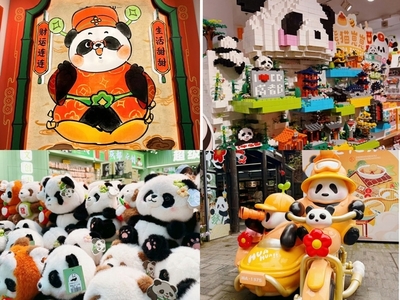 城市文化與傳播學(xué)院開(kāi)展專(zhuān)題調(diào)研及“IDEA蘇州”大賽宣講，聚焦數(shù)字文化創(chuàng)意軟件開(kāi)發(fā)